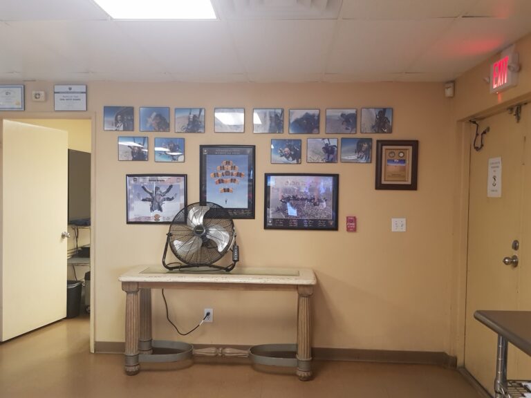 tmp 64f138e424471 768x576