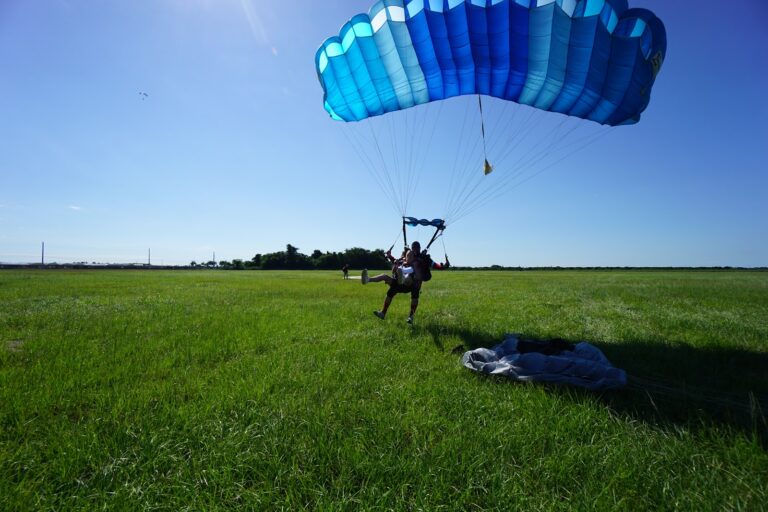 tmp 651e233a5d670 768x512